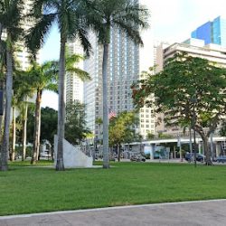 Negocio Go City - Miami