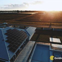 Negocio Goldin Solar