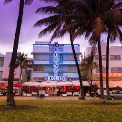 Negocio Gray Line Miami