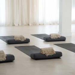 Negocio Hanu Yoga Studio
