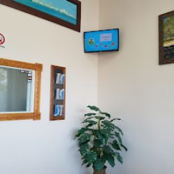 Negocio Hispanic Health Care Center