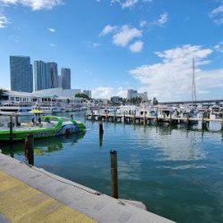 Negocio I Luv Miami