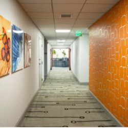 Negocio Immigration Law Offices Of Miami
