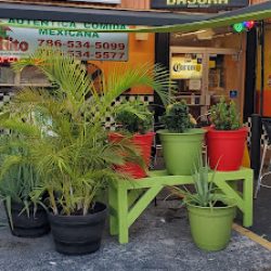 Negocio Jacalito #2 | Mexican Restaurant In Little Havana