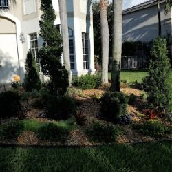 Negocio Jm Landscaping
