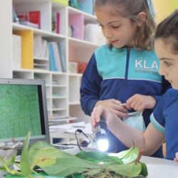 Negocio Kla Academy