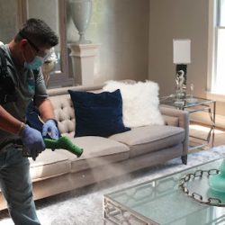 Negocio Kleen360 - A 360° Cleaning & Sanitation Organization - Miami