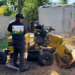 Negocio L Pastor Landscaping