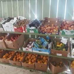 Negocio La Guardia Produce