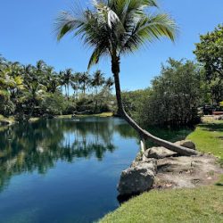 Negocio Lake Park