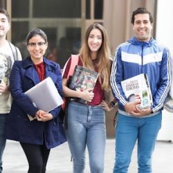 Negocio Language On Miami School