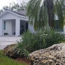 Negocio Larkins Center