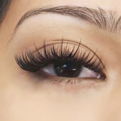 Negocio Lash Pro Miami