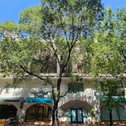 Negocio Ling Chow Salon