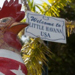 Negocio Little Havana Tours