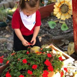 Negocio Little Wonders Learning Academy & Preschool