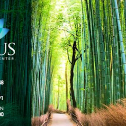 Negocio Lotus Counseling Center