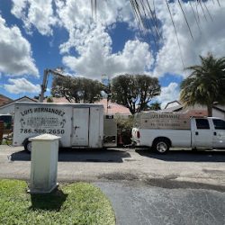 Negocio Luis Hernandez Tree Service And Landscaping, Llc