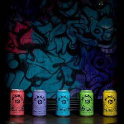Negocio Magic 13 Brewing Co.