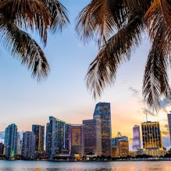 Negocio Malescu Law, Pa - Business & Immigration Lawyers