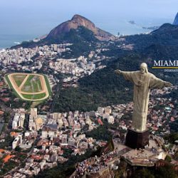 Negocio Miami Advogado