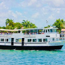 Negocio Miami Aqua Tours