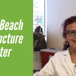 Negocio Miami Beach Acupuncture Center