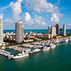 Negocio Miami Beach Marina