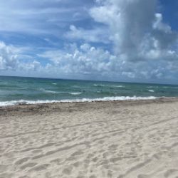 Negocio Miami Beach