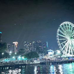 Negocio Miami Boat Cruises