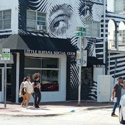 Negocio Miami Brew Bus