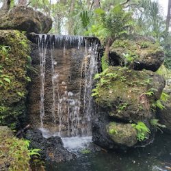 Negocio Miami Ecoadventures