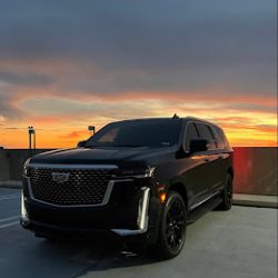 Negocio Miami Luxury Services