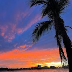 Negocio Miami Massage Therapy