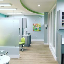 Negocio Miami Orthodontic Specialists, Dr. Carmen Garcia-paul