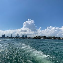 Negocio Miami Party Boats