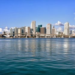 Negocio Miami Real Estate - Miamism Real Estate Sales Team