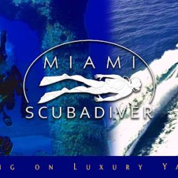 Negocio Miami Scuba Diver