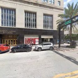 Negocio Miami Seo Guide
