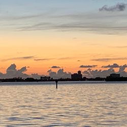 Negocio Miami Shores Village Bayfront Park