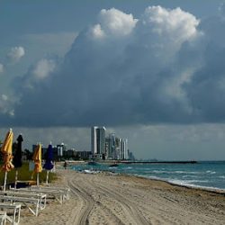 Negocio Miami Sightseeing Tours 2021 |yacht Rental | Florida