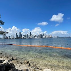 Negocio Miami Skyline View
