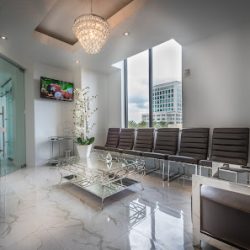 Negocio Miami Smile Institute