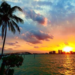 Negocio Miami Sunset Cruises