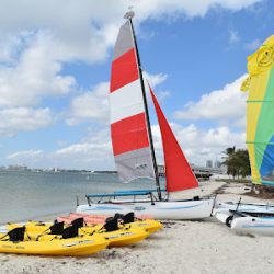 Negocio Miami Watersports: Sailing Center