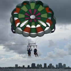 Negocio Miami Watersports