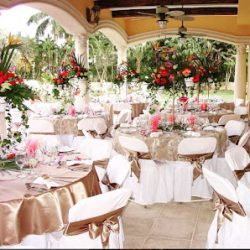 Negocio Miami Wedding Caterer