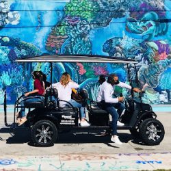 Negocio Miami Wynwood Arts District Graffiti Street Art Golf Cart Tour