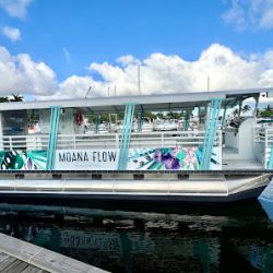 Negocio Moana Flow Miami