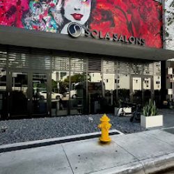 Negocio Mr. Freshcut | Miami Barber Studio
